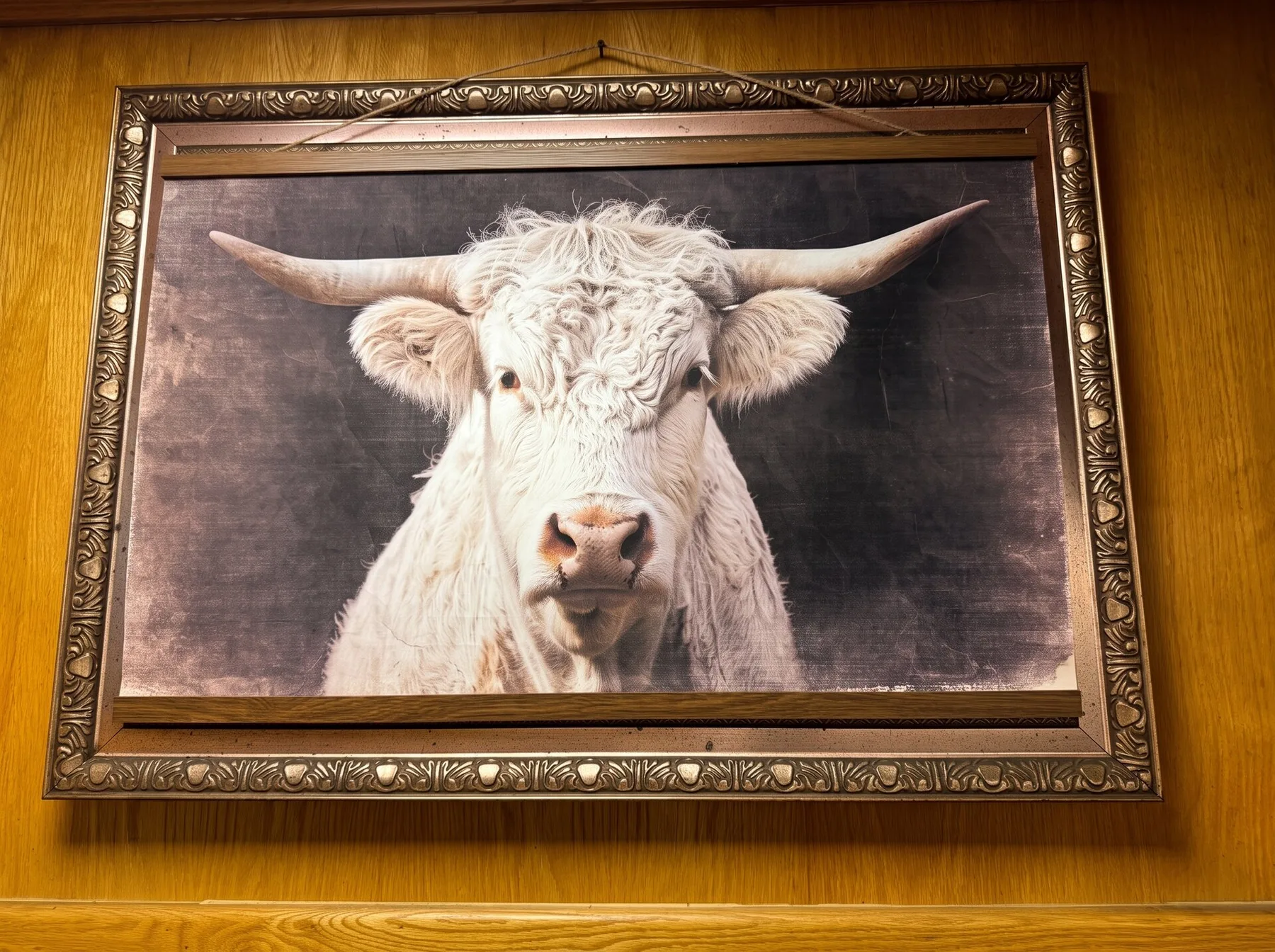 Retrato de longhorn en el comedor
